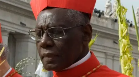 Cardenal Sarah anima a obispos de África a defender la fe católica en el Sínodo 11042024