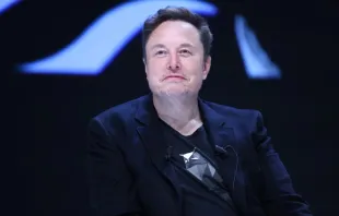 Elon Musk asiste a una sesión durante el Festival Internacional de Creatividad Cannes Lions 2024 el 19 de junio de 2024 en Cannes (Francia). Crédito: Marc Piasecki/Getty Images.