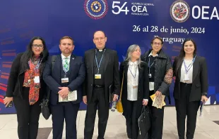 Algunos miembros de la Coalición para el Desarrollo Humano de Human Life Internacional junto a Mons. Juan Antonio Cruz Serrano, Observador Permanente ante la Organización de Estados Americanos (OEA) Crédito: Human Life Internacional