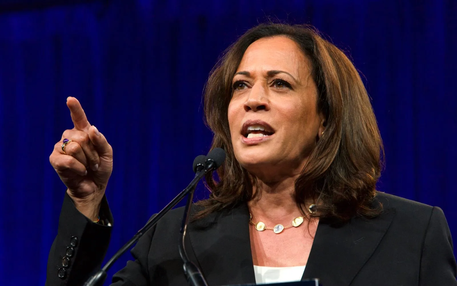 Kamala Harris durante su campaña presidencial en 2019.?w=200&h=150