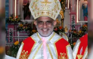 El Vaticano anunció el 10 de enero de 2024 la confirmación de la elección de un nuevo líder de la Iglesia siro-malabar, la iglesia católica oriental más grande de la India, Mons. Raphael Thattil. Crédito: pullokaran, CC BY-SA 3.0, via Wikimedia Commons