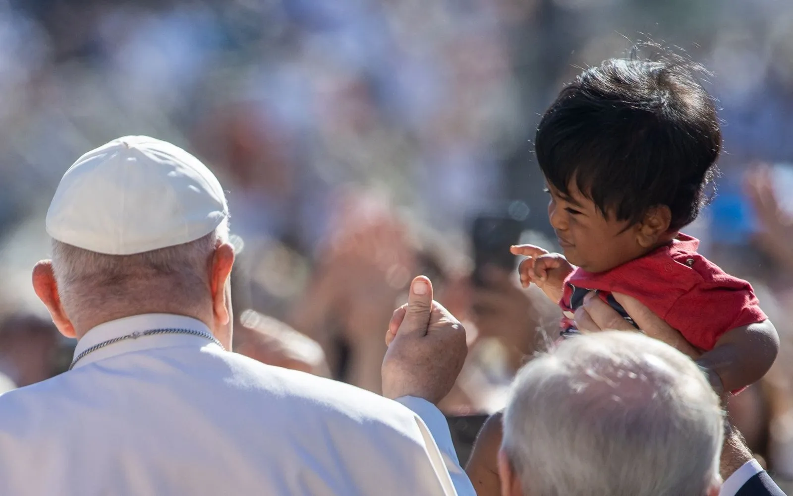 El Papa Francisco en la Audiencia General de este 12 de junio?w=200&h=150