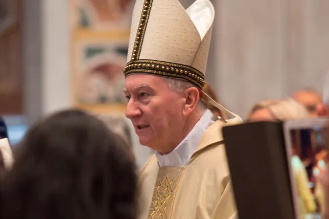 Pietro Cardenal Parolin, Ibañez